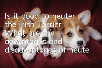 Is it good to neuter the Irish Terrier? What are the advantages and disadvantages of neutering the Irish Terrier?