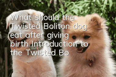 What should the Twisted Boliton dog eat after giving birth? Introduction to the Twisted Boliton dog’s diet after giving birth