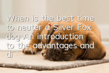 When is the best time to neuter a Silver Fox dog? An introduction to the advantages and disadvantages of neutering a Silver Fox dog