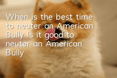 When is the best time to neuter an American Bully? Is it good to neuter an American Bully?