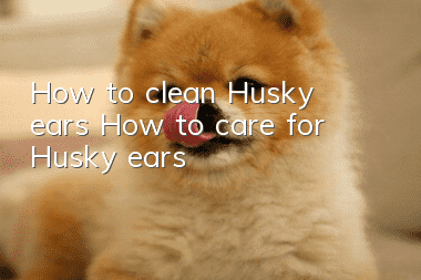 How to clean Husky ears? How to care for Husky ears?
