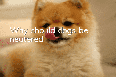 Why should dogs be neutered?