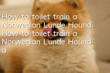 How to toilet train a Norwegian Lunde Hound? How to toilet train a Norwegian Lunde Hound at a fixed location?