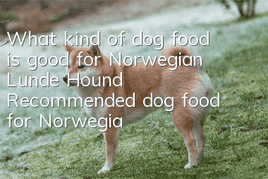 What kind of dog food is good for Norwegian Lunde Hound? Recommended dog food for Norwegian Lunde Hound