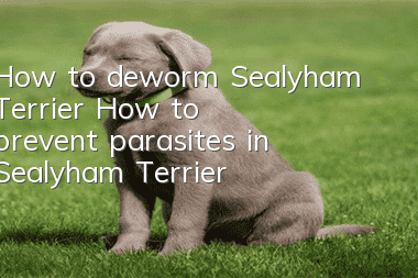 How to deworm Sealyham Terrier? How to prevent parasites in Sealyham Terrier?