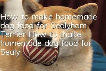How to make homemade dog food for Sealyham Terrier How to make homemade dog food for Sealyham Terrier