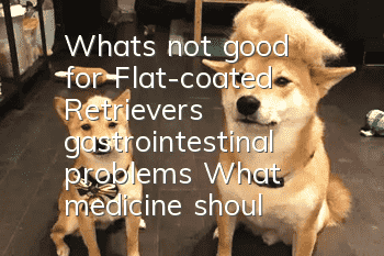 What's not good for Flat-coated Retrievers' gastrointestinal problems? What medicine should Flat-Coated Retrievers take for gastroenteritis?