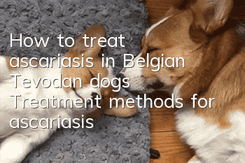 How to treat ascariasis in Belgian Tevodan dogs? Treatment methods for ascariasis