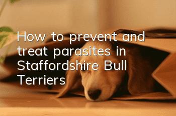 How to prevent and treat parasites in Staffordshire Bull Terriers