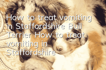 How to treat vomiting in Staffordshire Bull Terrier How to treat vomiting in Staffordshire Bull Terrier