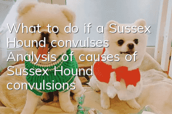 What to do if a Sussex Hound convulses? Analysis of causes of Sussex Hound convulsions