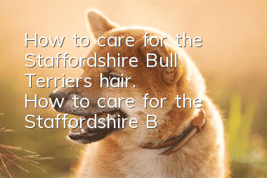 How to care for the Staffordshire Bull Terrier's hair. How to care for the Staffordshire Bull Terrier's hair.