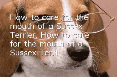 How to care for the mouth of a Sussex Terrier. How to care for the mouth of a Sussex Terrier.