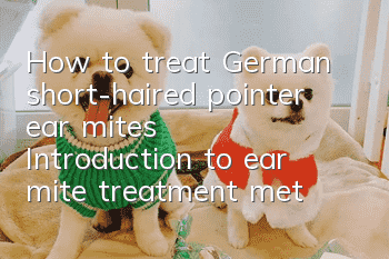 How to treat German short-haired pointer ear mites? Introduction to ear mite treatment methods