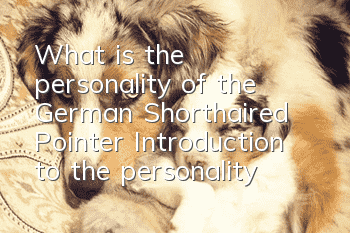 What is the personality of the German Shorthaired Pointer? Introduction to the personality of the German Shorthaired Pointer