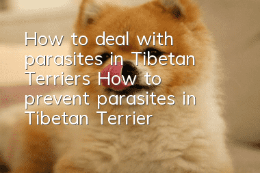 How to deal with parasites in Tibetan Terriers How to prevent parasites in Tibetan Terriers