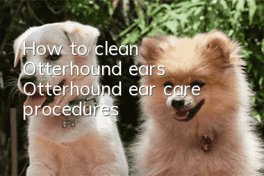 How to clean Otterhound ears? Otterhound ear care procedures