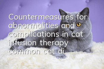 Countermeasures for abnormalities and complications in cat infusion therapy, common cat diseases!