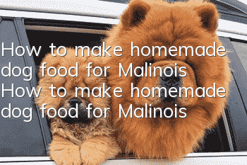 How to make homemade dog food for Malinois How to make homemade dog food for Malinois