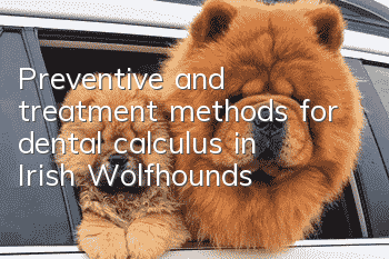 Preventive and treatment methods for dental calculus in Irish Wolfhounds