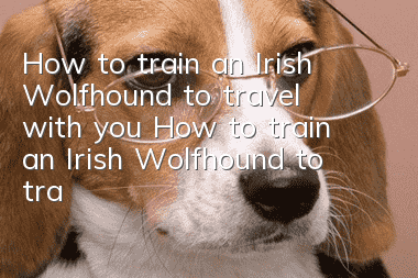 How to train an Irish Wolfhound to travel with you? How to train an Irish Wolfhound to travel with you when traveling?