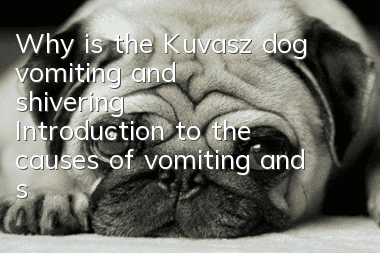 Why is the Kuvasz dog vomiting and shivering? Introduction to the causes of vomiting and shivering