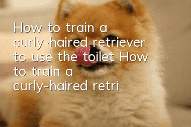 How to train a curly-haired retriever to use the toilet? How to train a curly-haired retriever to go to the toilet at a fixed location?