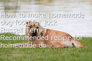 How to make homemade dog food for Jack Russell Terrier. Recommended recipe for homemade dog food for Jack Russell Terrier.