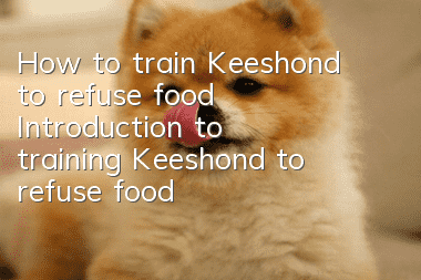 How to train Keeshond to refuse food? Introduction to training Keeshond to refuse food