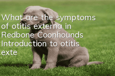 What are the symptoms of otitis externa in Redbone Coonhounds? Introduction to otitis externa symptoms