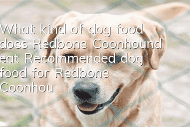 What kind of dog food does Redbone Coonhound eat? Recommended dog food for Redbone Coonhound