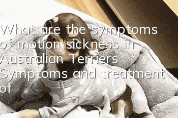 What are the symptoms of motion sickness in Australian Terriers? Symptoms and treatment of motion sickness in Australian Terriers