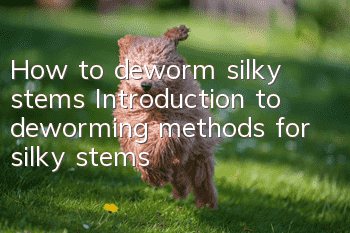 How to deworm silky stems Introduction to deworming methods for silky stems