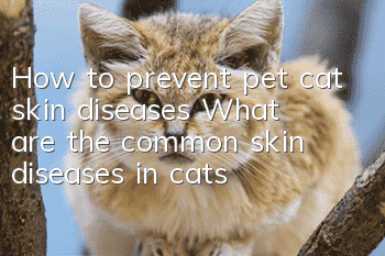 How to prevent pet cat skin diseases? What are the common skin diseases in cats?