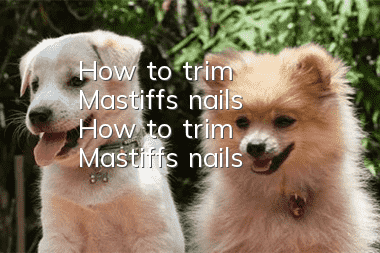 How to trim Mastiff's nails How to trim Mastiff's nails
