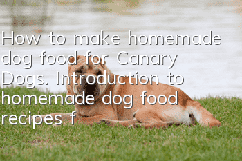 How to make homemade dog food for Canary Dogs. Introduction to homemade dog food recipes for Spanish Canary Dogs.
