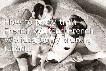 How to potty train French Wolfdog French Wolfdog potty training tutorial