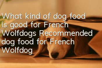 What kind of dog food is good for French Wolfdogs? Recommended dog food for French Wolfdogs