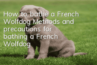 How to bathe a French Wolfdog? Methods and precautions for bathing a French Wolfdog