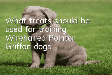 What treats should be used for training Wirehaired Pointer Griffon dogs?