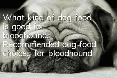 What kind of dog food is good for bloodhounds? Recommended dog food choices for bloodhounds