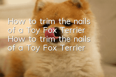 How to trim the nails of a Toy Fox Terrier How to trim the nails of a Toy Fox Terrier