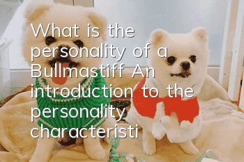 What is the personality of a Bullmastiff? An introduction to the personality characteristics of a Bullmastiff