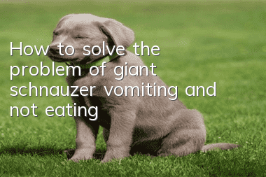 How to solve the problem of giant schnauzer vomiting and not eating