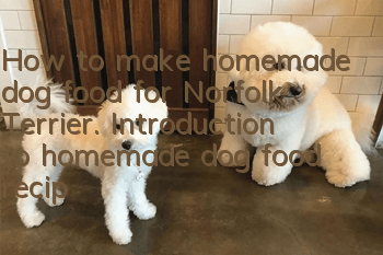 How to make homemade dog food for Norfolk Terrier. Introduction to homemade dog food recipe for Norfolk Terrier.