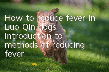 How to reduce fever in Luo Qin dogs? Introduction to methods of reducing fever