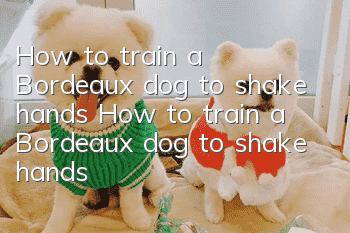 How to train a Bordeaux dog to shake hands? How to train a Bordeaux dog to shake hands?