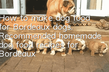 How to make dog food for Bordeaux dogs. Recommended homemade dog food recipes for Bordeaux dogs.