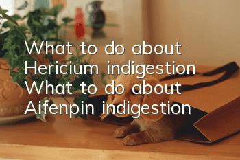 What to do about Hericium indigestion? What to do about Aifenpin indigestion?