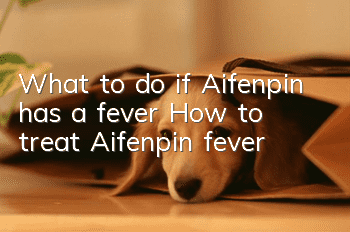 What to do if Aifenpin has a fever? How to treat Aifenpin fever